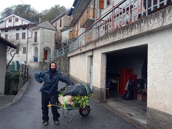 Domenica abbiamo raccolto schivando la pioggia, …