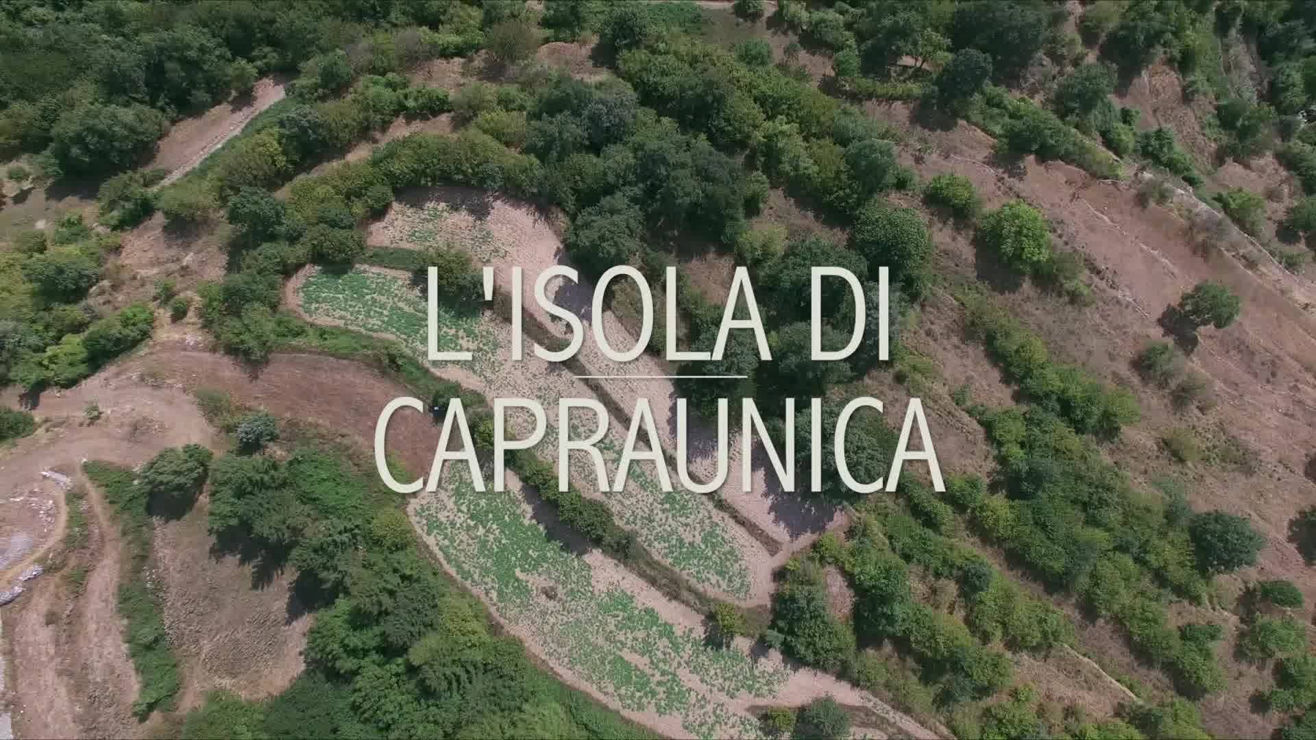 Un piccolo Clip che ripercorre alcune delle …